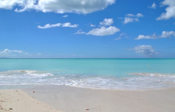 turkost vatten på Antigua Karibien