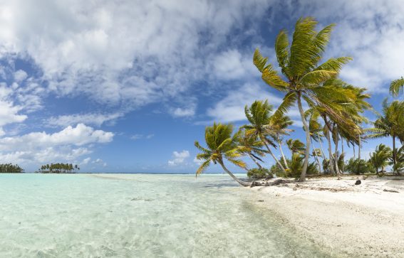 Bahamas med vita stränder och tropiska palmer Karibien